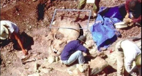 考古学者挖掘到巨人的头颅骨的现场