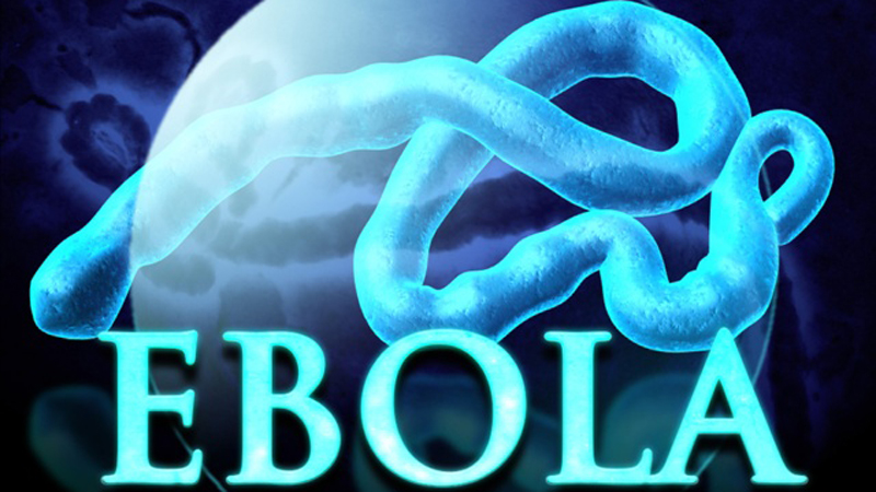 埃博拉(Ebola) 病毒