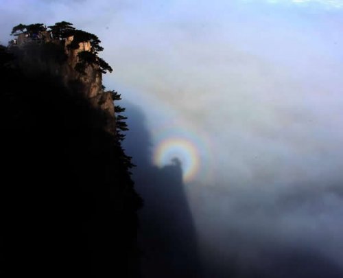 11月1日，安徽黄山风景区雨过天晴，出现佛光景观，宛如仙境。（网络图片）