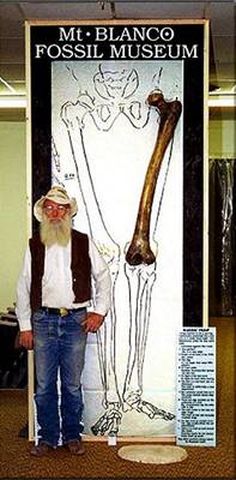 现代人站在有着1.2公尺长的大腿骨的巨人面前，比例相差悬殊，甚至还不到巨人腰的高度。（图片提供：Joe Taylor）