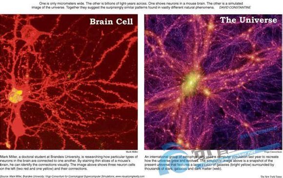 左图是脑细胞，右图是宇宙结构，从两张图来看何其相似，充分说明了我们只是宇宙的一个分形，一个缩影而已，也说明了宇宙和我们一样，也是有意识的，而且都是一体的。(网络图片)
