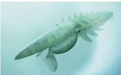 科学家根据化石修复后的龙虾形象。