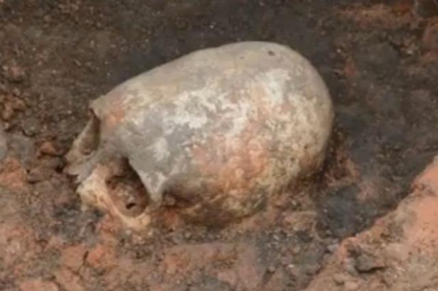 考古学家初步判断显示，该头骨属于公元前4000年左右的一位女性所有。（网页截图）