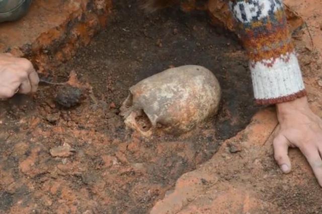 俄罗斯阿尔卡伊姆古城境内出土一个奇特长椭圆形头骨，疑为外星人所有。（网页截图）