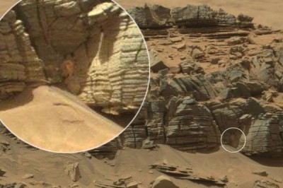 近日，网路上才出现一张火星上疑似有螃蟹或蜘蛛形状的生物照片。(图撷自《镜报》)