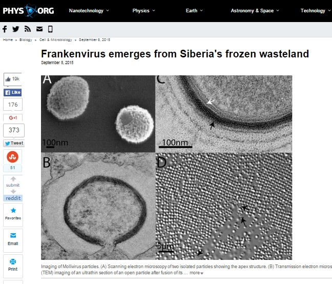 西伯利亚发现3万年前巨大病毒“西伯利亚柔弱病毒”（Mollivirus sibericum）。（phys.org网页截图）