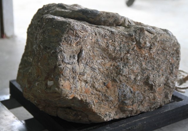 这颗重达200多公斤的巨大石头上有许多生物的遗迹(图片来源：许享富)