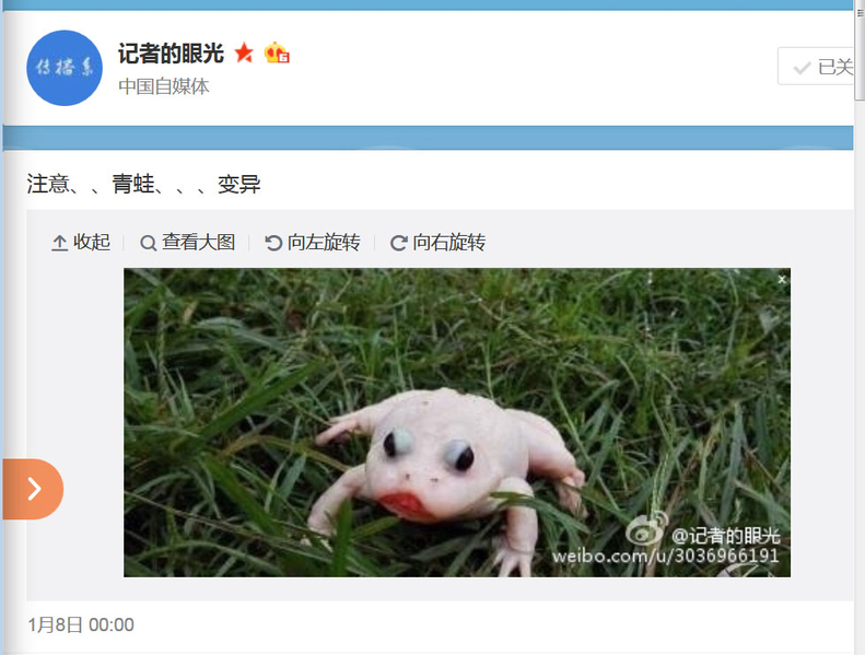 元月8日，社交网还出现一张剥皮蛤蟆图，并配上特别文字说：“注意、青蛙、变异”。（网络截图）