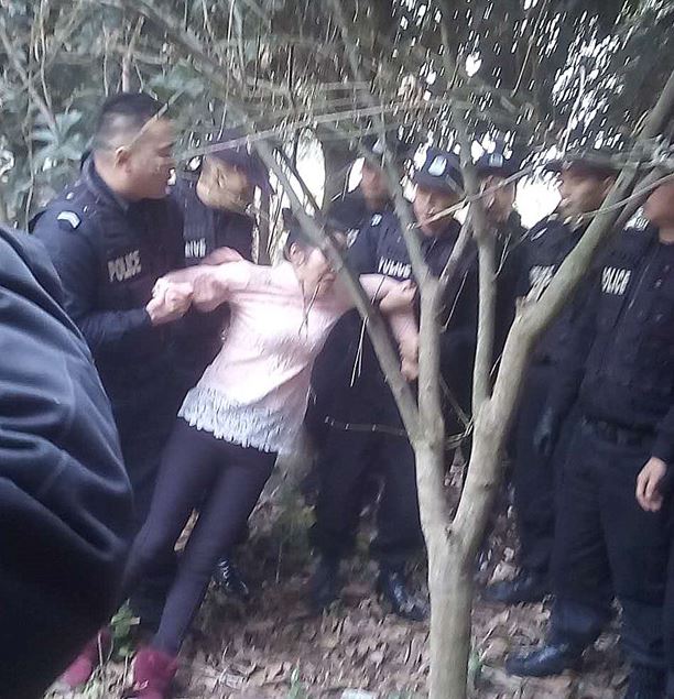 2015年12月30日，成都郫县德源镇政府派警察强伐东林村树木徵地，女农民反抗受到控制。(目击者摄)