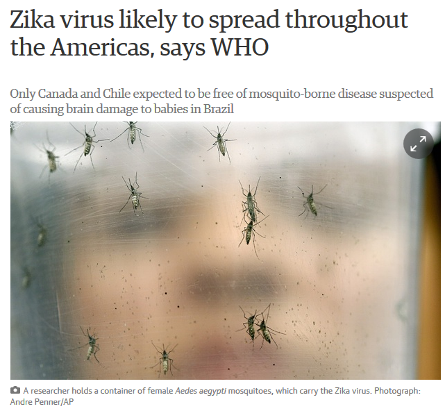 WHO警告：寨卡病毒已散播至整个美洲 卫报报道截图