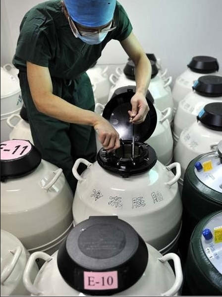 胚胎储存室里陈列着装满液氮的白色大桶。未被用上的胚胎就在此保存。