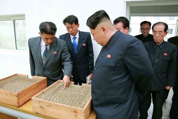 据北京消息人士透露，北京与朝鲜达成协议，平壤已经同意放弃空中核爆试验计划，作为回报，北京同意大幅增加向平壤提供粮食援助的计划。(Getty Images)