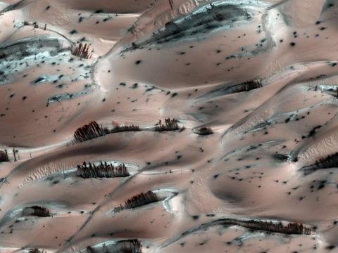 NASA火星地表景观照片。(网络图片)