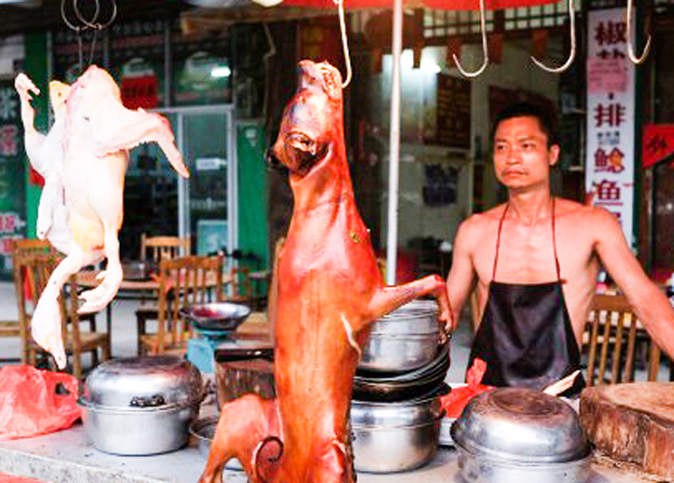 2016年5月9日，广西玉林一个出售烧狗的餐厅。以“荔枝狗肉节”成为国际“知名”城市的广西省玉林市，今年的狗肉节于2016年6月21日开锣。（法新社）