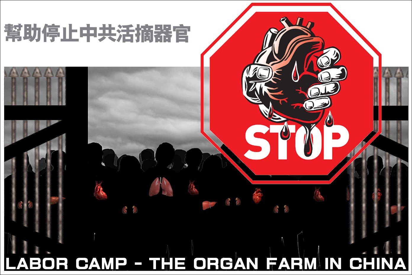 帮助停止中共活摘器官Stop Organ Harvesting in China(网络图片）
