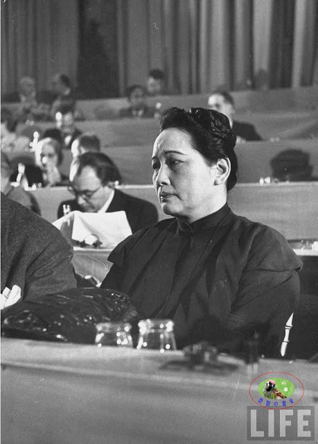 宋庆龄1952年出席共产国家在欧洲举行的和平会议