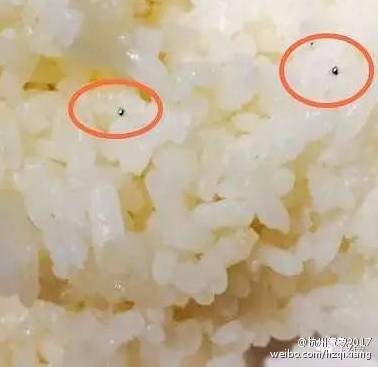 杭州一家餐厅的米饭中发现了水银。（网络图片）
