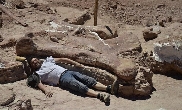 阿根廷牧羊人意外发现超巨大骨头！(网络图片)