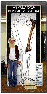 巨人的上部大腿骨与一个巨大的髋关节。(网络图片)