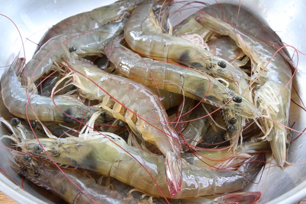 中国产虾。