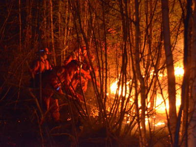 森林火灾资料图片。（public domain）