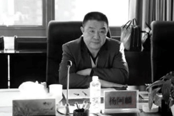 消息人士透露，内蒙古农村信用社联合社理事长杨阿麟涉嫌严重违纪违法，金额超过100亿元，个人贪污受贿超过20亿元。（网络图片）