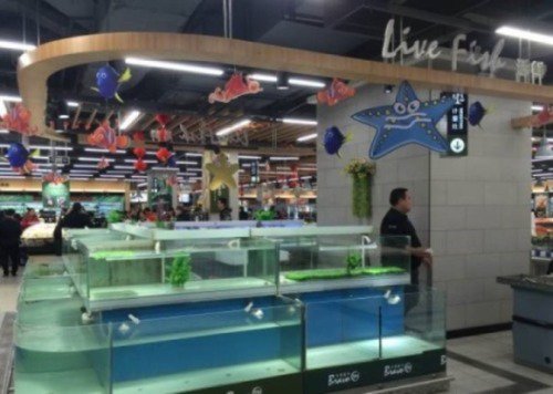 北京各大超市突然不卖活鱼，流言四起，却没有部门人员出来解释。（网络图片）
