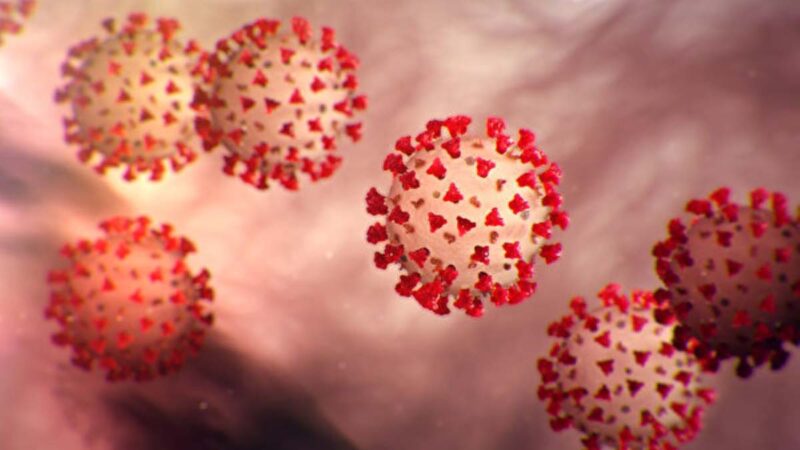 中国疫情再升温   专家警告病毒体内存活4个月